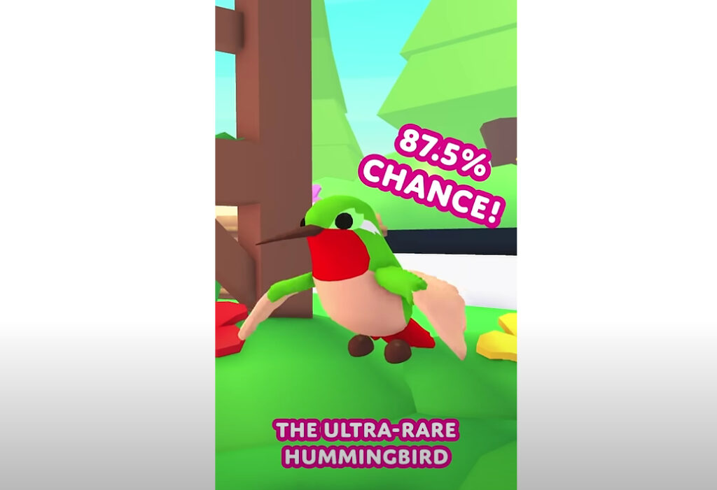 Adopt Me hummingbird