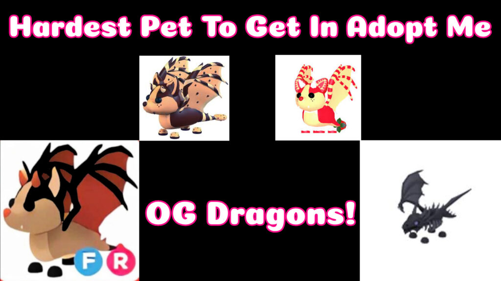 hardest pets to get in adopt me