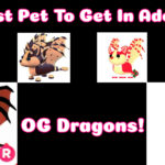 hardest pets to get in adopt me